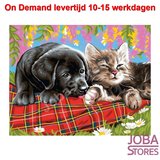 On Demand Diamond Painting 0040_