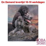 On Demand Diamond Painting 0055_