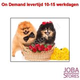 On Demand Diamond Painting 0127_