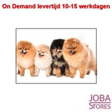 On Demand Diamond Painting 0128_