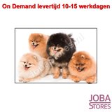 On Demand Diamond Painting 0129_