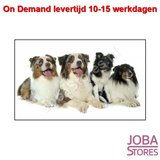 On Demand Diamond Painting 0130_