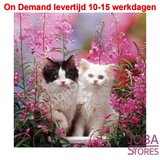 On Demand Diamond Painting 0131_