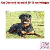 On Demand Diamond Painting 0154_