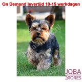 On Demand Diamond Painting 0188_