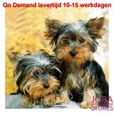 On Demand Diamond Painting 0192_