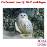 On Demand Diamond Painting 0208_