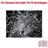 On Demand Diamond Painting 0264_