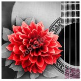 Diamond Painting Rode Bloem 20x20cm