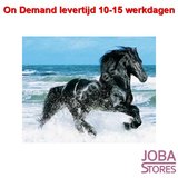 On Demand Diamond Painting 0513_