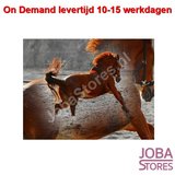 On Demand Diamond Painting 0514_