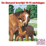 On Demand Diamond Painting 0527_