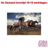 On Demand Diamond Painting 0543_