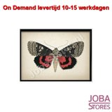 On Demand Diamond Painting 0645_