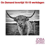 On Demand Diamond Painting 0709_