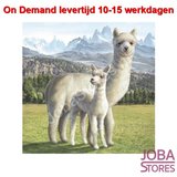 On Demand Diamond Painting 0732_