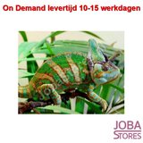 On Demand Diamond Painting 0734_