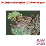 On Demand Diamond Painting 0736_