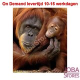 On Demand Diamond Painting 0776_