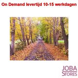 On Demand Diamond Painting 1101_