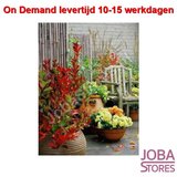 On Demand Diamond Painting 1237_