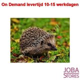 On Demand Diamond Painting 1336_