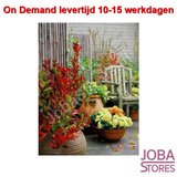 On Demand Diamond Painting 1462_