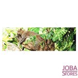 Diamond Painting Luipaard 25x75cm