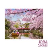 Schilderen op nummer Rivier 40x50cm