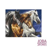 Schilderen op nummer "Sequin Art" Senior Wilde Paarden