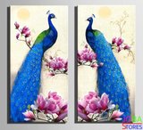 Diamond Painting Pauwen 40x40cm_