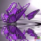 Diamond Painting Paarse Vlinders 30x30cm_