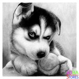 Diamond Painting Husky Pup 30x30cm_