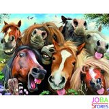 Diamond Painting Gekke Paarden 40x30cm_