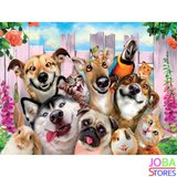 Diamond Painting Gekke Huisdieren 40x30cm_