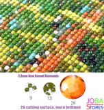 Diamond Painting Vlinder Vrouw 40x55cm - Rond_