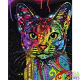 Schilderen op nummer Gekleurde Kat 40x50cm_