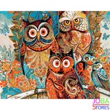 Schilderen op nummer Uilen 40x50cm_