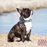 Custom Honden Halsband met eigen naam_