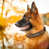 Custom Honden Halsband met eigen naam_