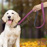 Custom Honden Halsband met eigen naam_