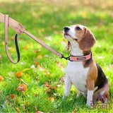 Custom Honden Halsband met eigen naam_