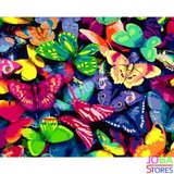 Schilderen op nummer Gekleurde Vlinders 40x50cm_