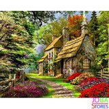 Schilderen op nummer Schattig Huisje 40x50cm_