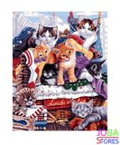 Schilderen op nummer Kittens 40x50cm_