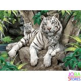 Painting by number White Tiger Family 40x50cm_