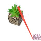 Kras Tekening Toolkit Deluxe_