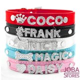 Custom Honden Halsband_