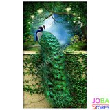 Diamond Painting Pauw 60x90cm_