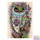 Diamond Painting Uil 40x55cm - Rond_